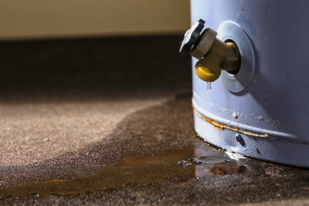 Best Commercial water damage restoration  in Paintsville, KY