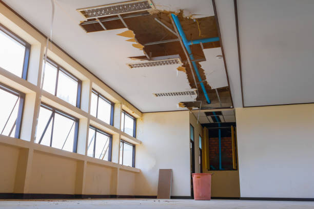 Best Emergency water damage restoration  in Paintsville, KY