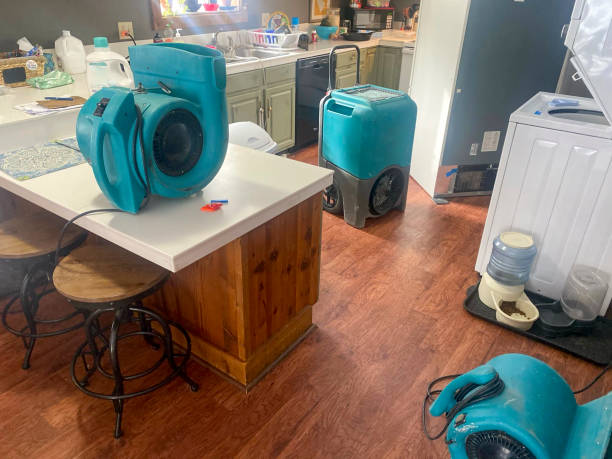 Best Water damage repair service  in Paintsville, KY