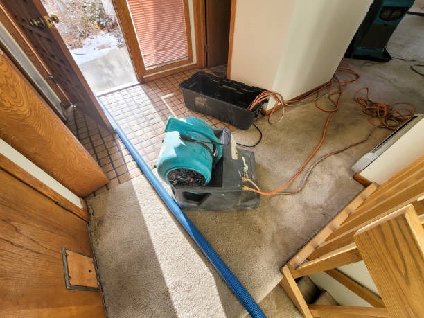 Best Sewage cleanup and water damage restoration  in Paintsville, KY
