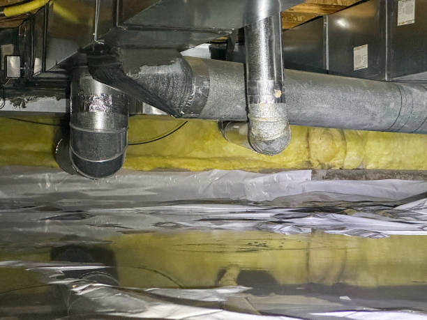 Best 24-hour water damage restoration  in Paintsville, KY