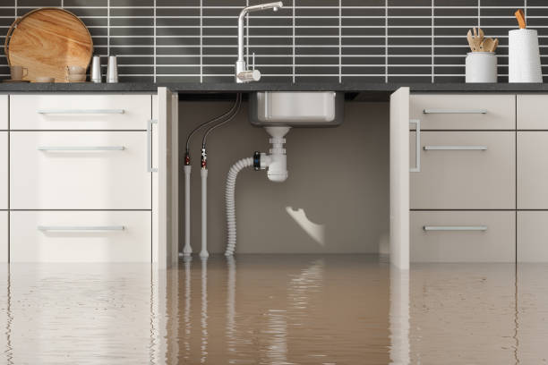 Best Basement water damage restoration  in Paintsville, KY