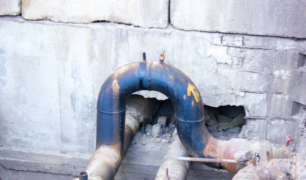 Best Carpet water damage restoration  in Paintsville, KY